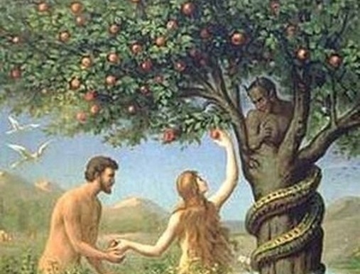 Tội của ông bà nguyên tổ Ađam và Evà đúng ra là tội gì?