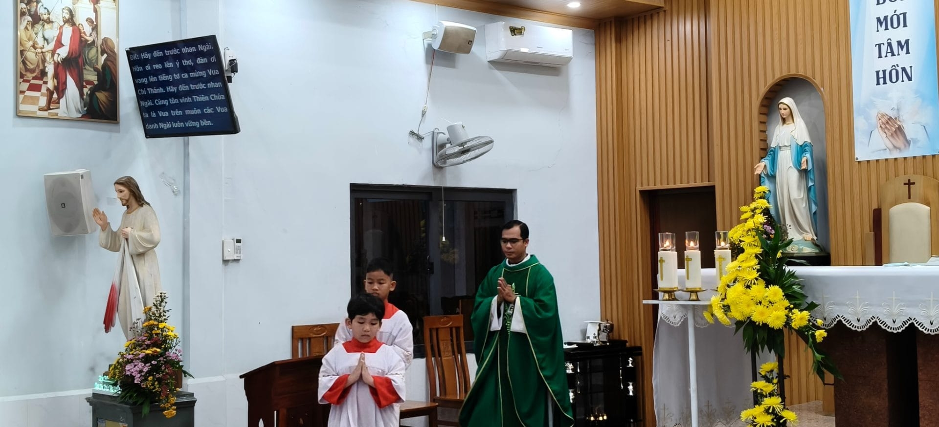 Photo-11