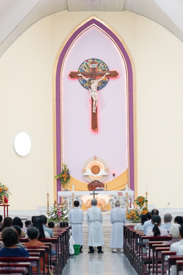 Photo-8