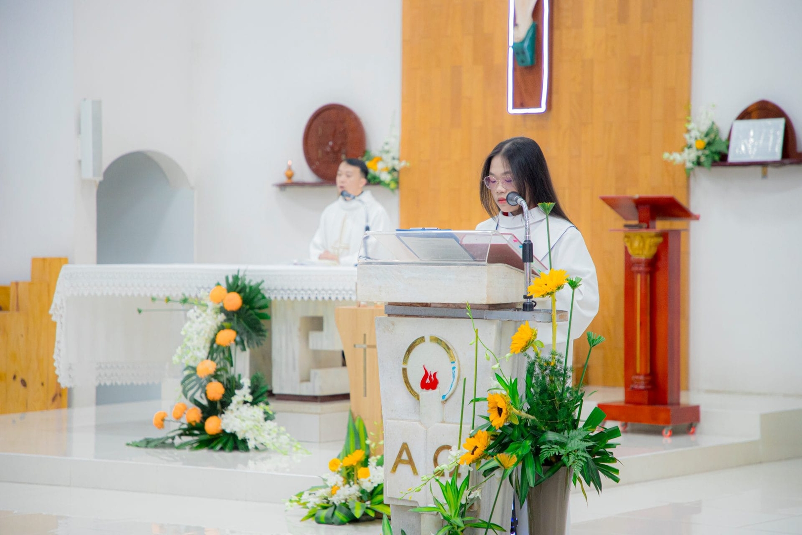 Photo-11