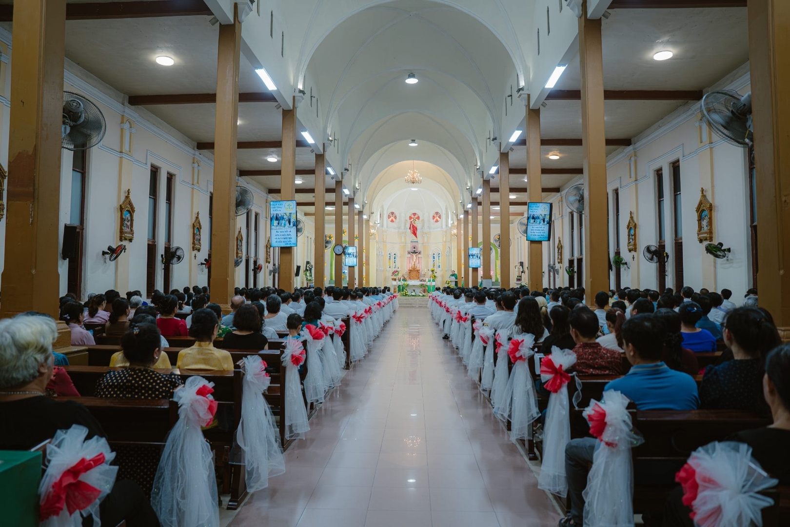 Photo-6