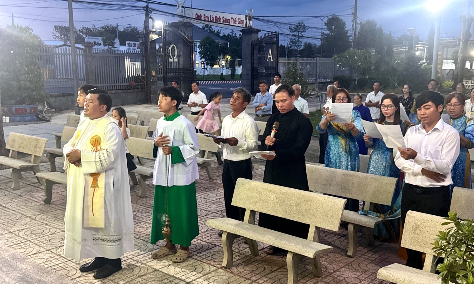 Photo-6