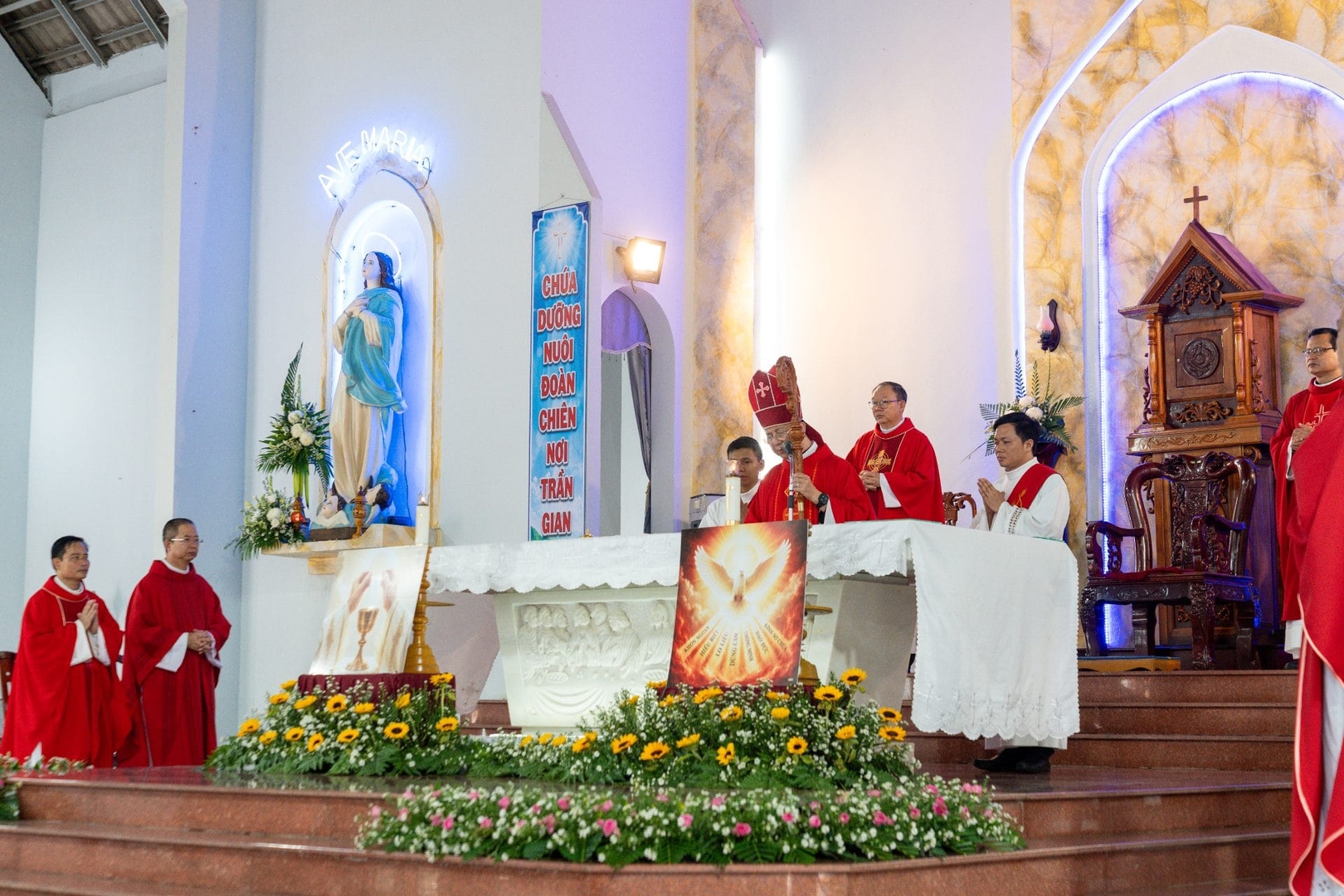 Photo-8