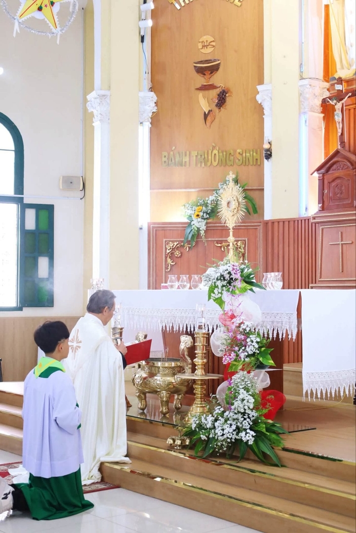 Photo-11