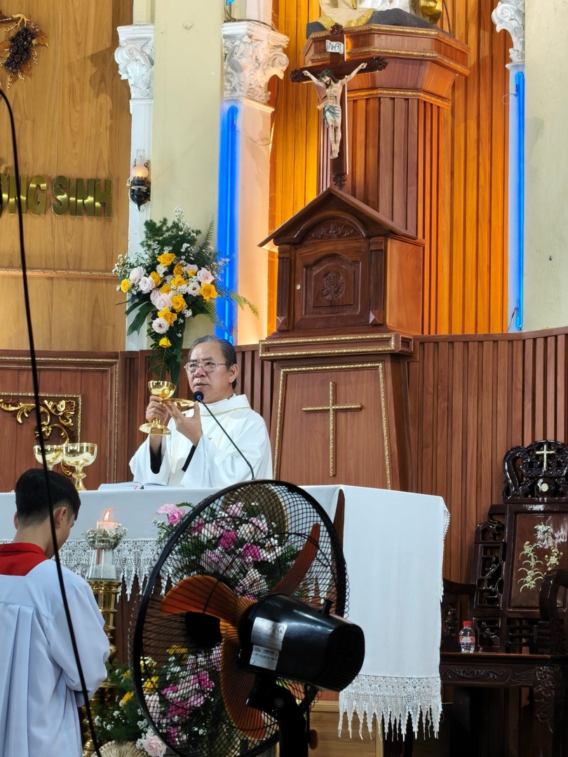 Photo-11