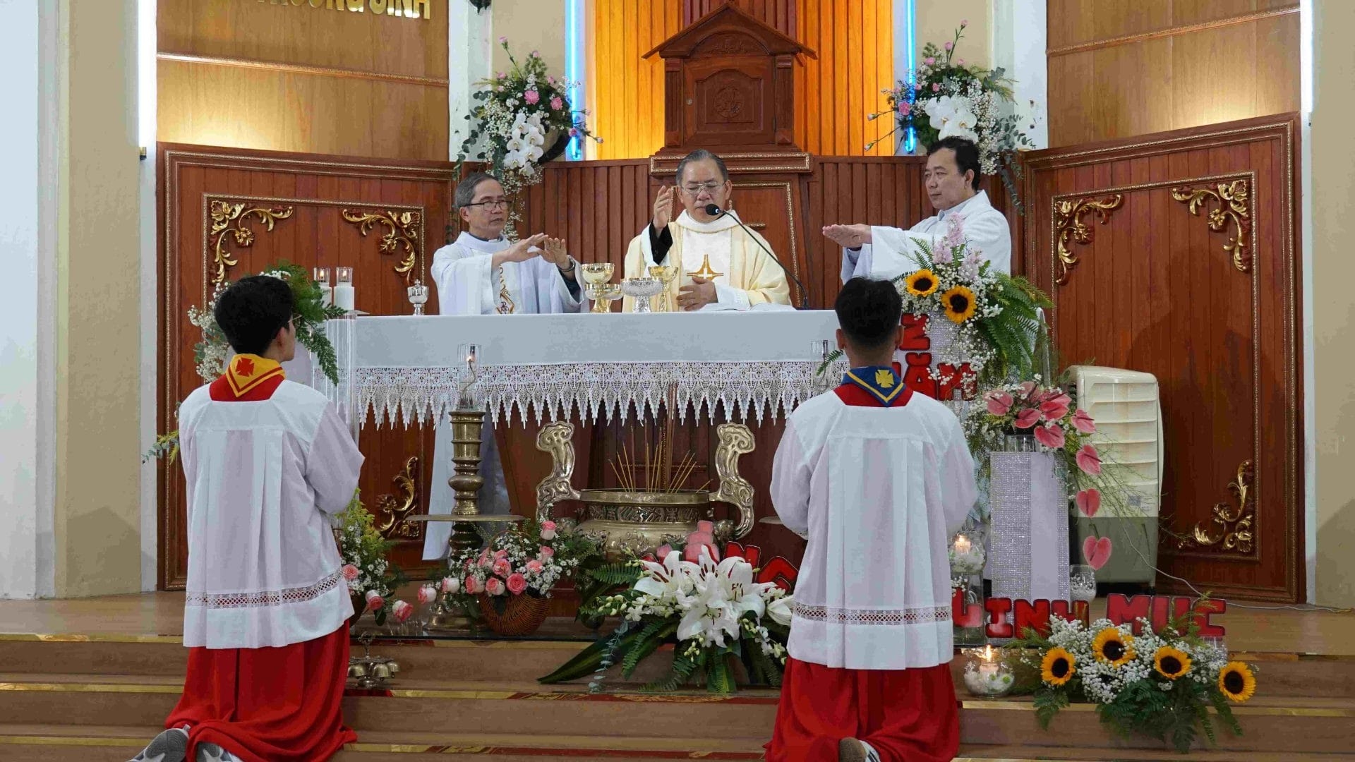 Photo-11