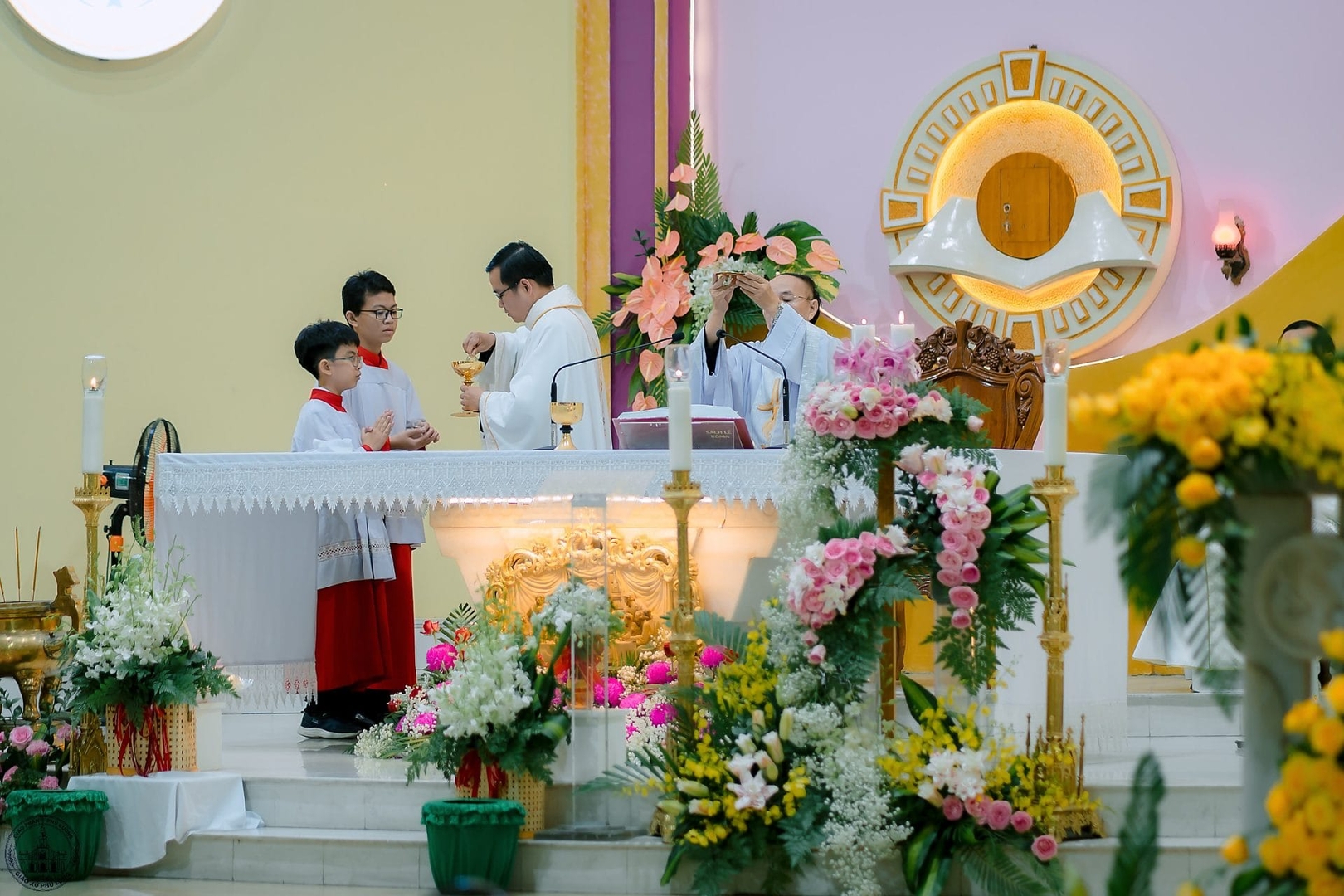 Photo-11