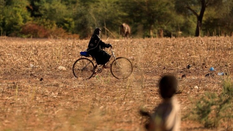 Đức Thánh Cha kêu gọi canh tân sứ mạng của Quỹ Gioan Phaolô II cho vùng Sahel