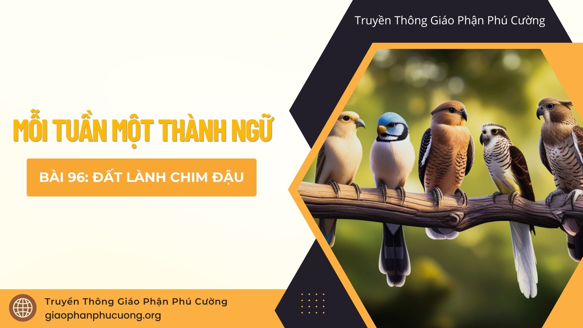 Mỗi Tuần Một Thành Ngữ |  Bài 96: Đất Lành Chim Đậu | Thầy Giuse Nguyễn Văn Quýnh