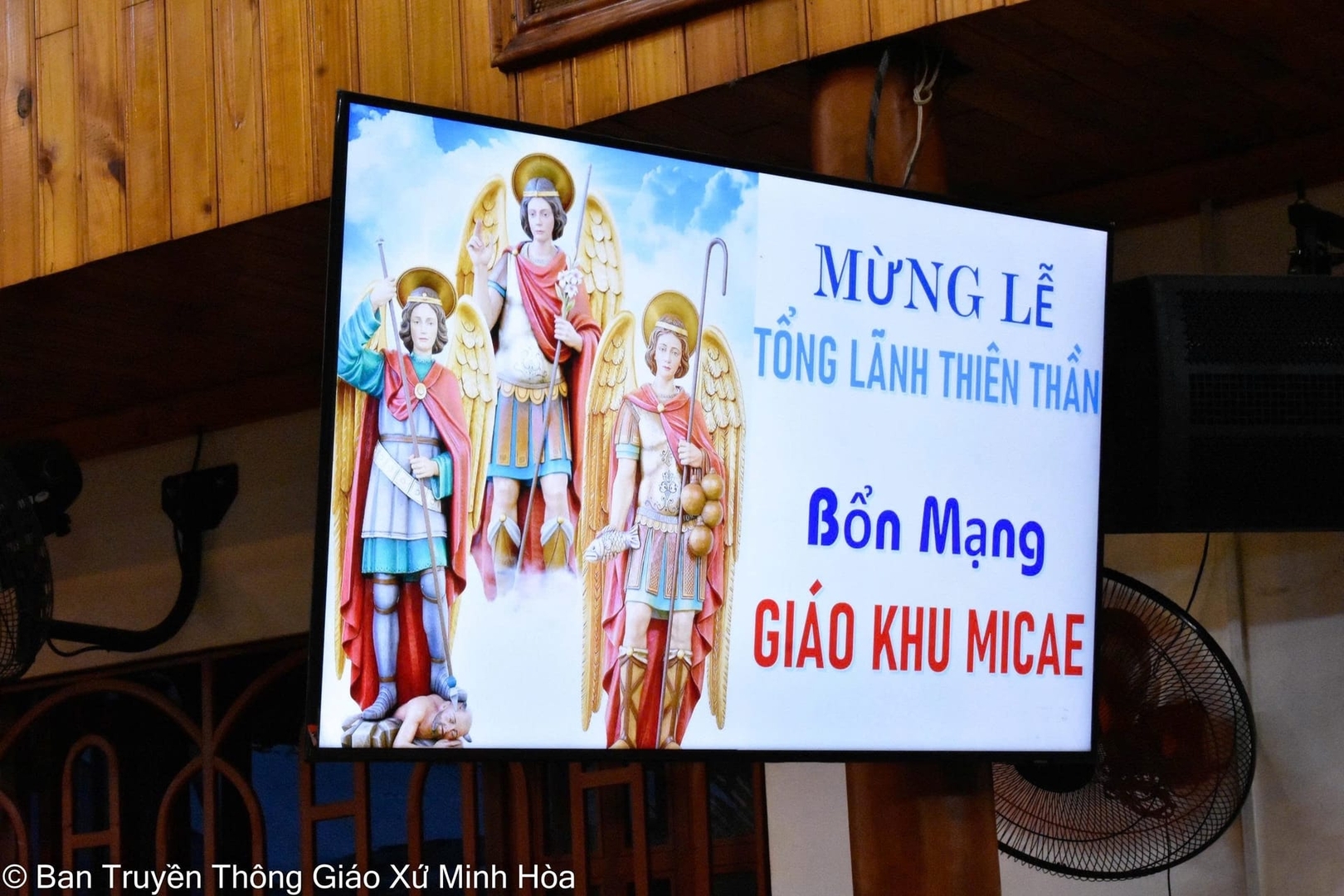 Photo-8