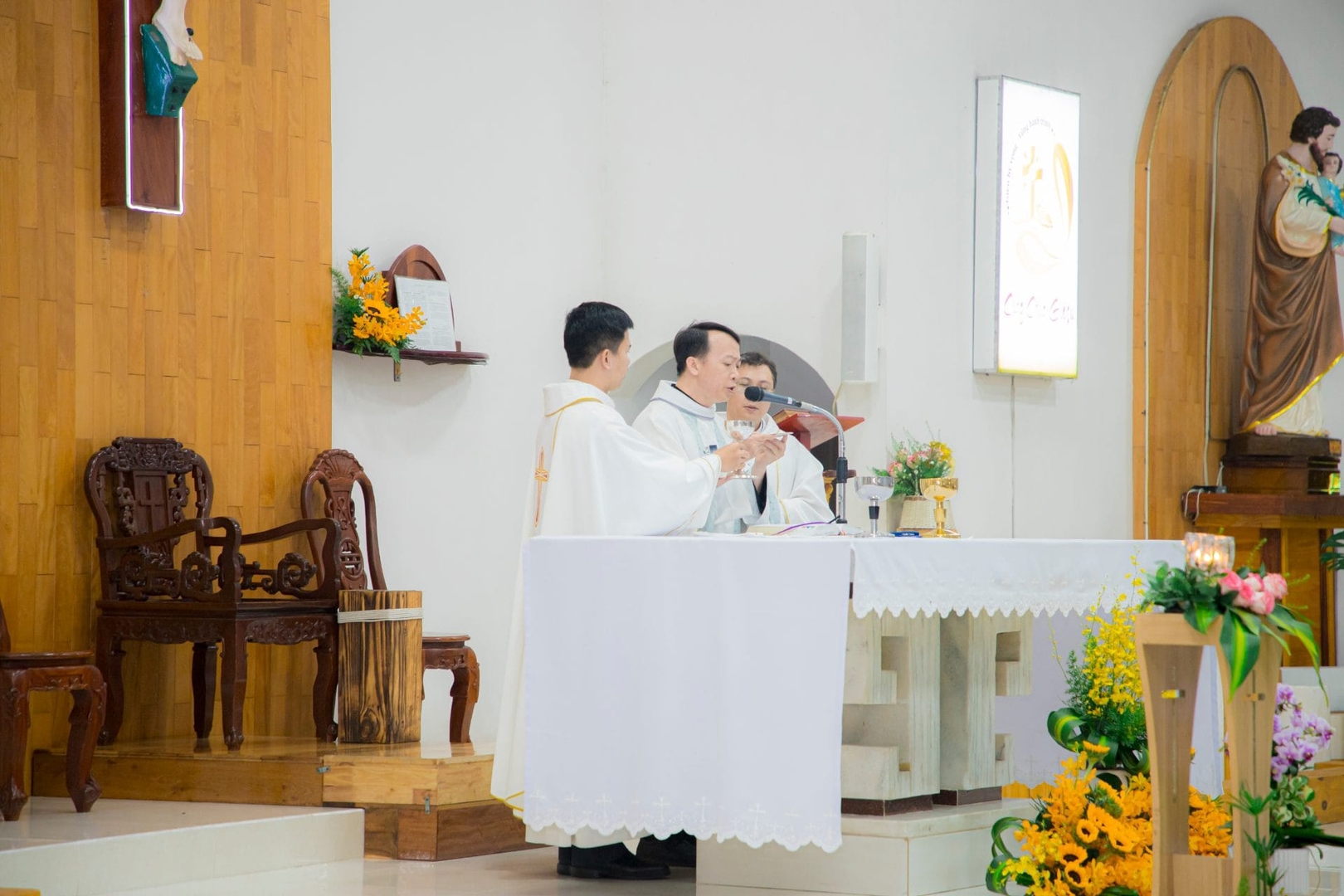 Photo-7