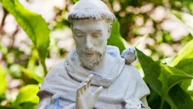 Mối liên hệ thiêng liêng kỳ lạ giữa các vị thánh và những loài chim