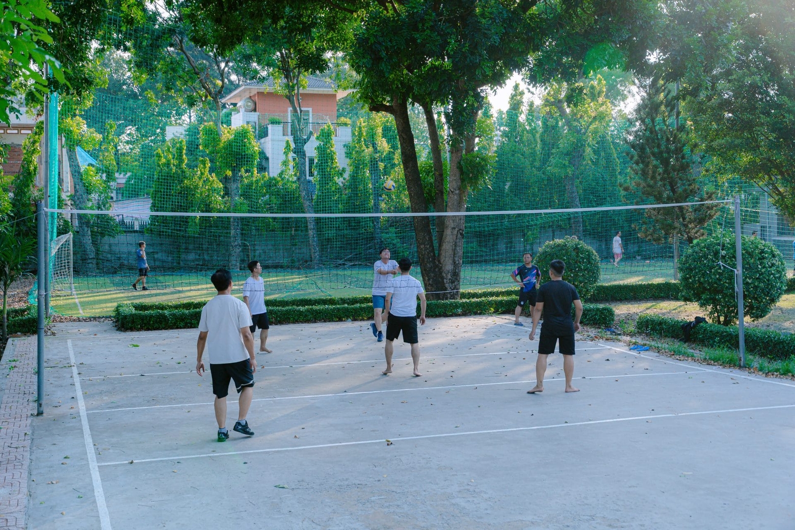 Photo-5