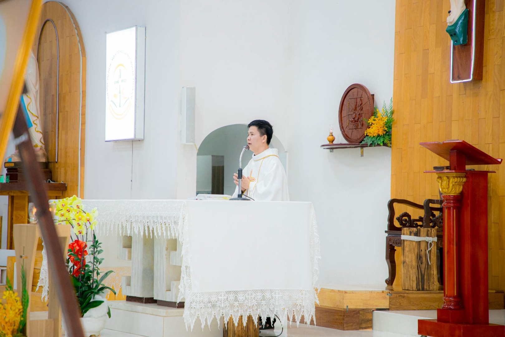 Photo-6