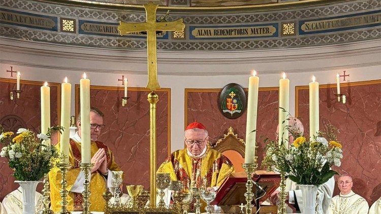 Đức Hồng Y Parolin cử hành Thánh lễ kỷ niệm 1.200 năm Thánh Ansgar rao giảng Tin Mừng tại Đan Mạch