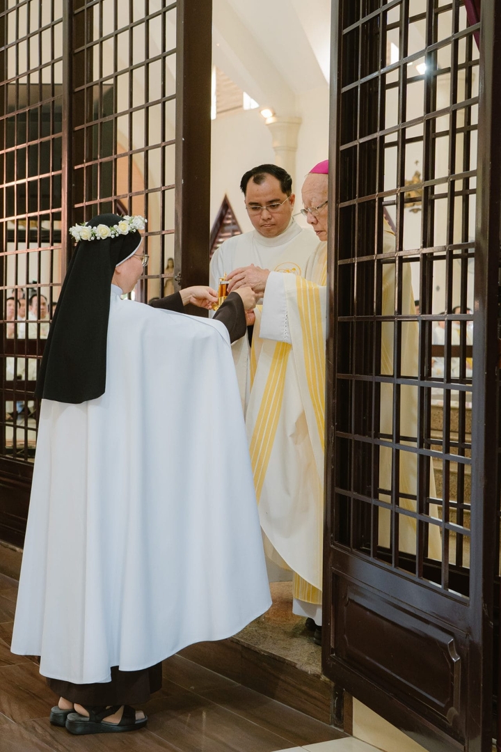 Photo-8