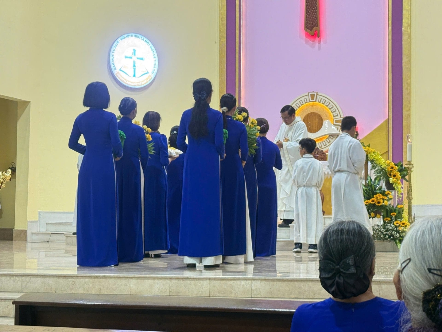 Photo-6