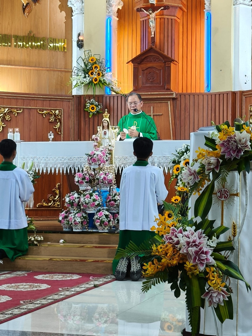 Photo-7