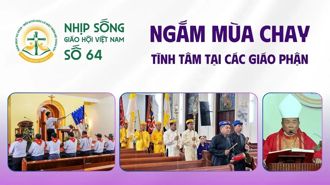 Ngắm mùa Chay - Tĩnh tâm tại các giáo phận - Nhịp sống Giáo hội Việt Nam số 64 (02/3/2026 - 09/3/2026)
