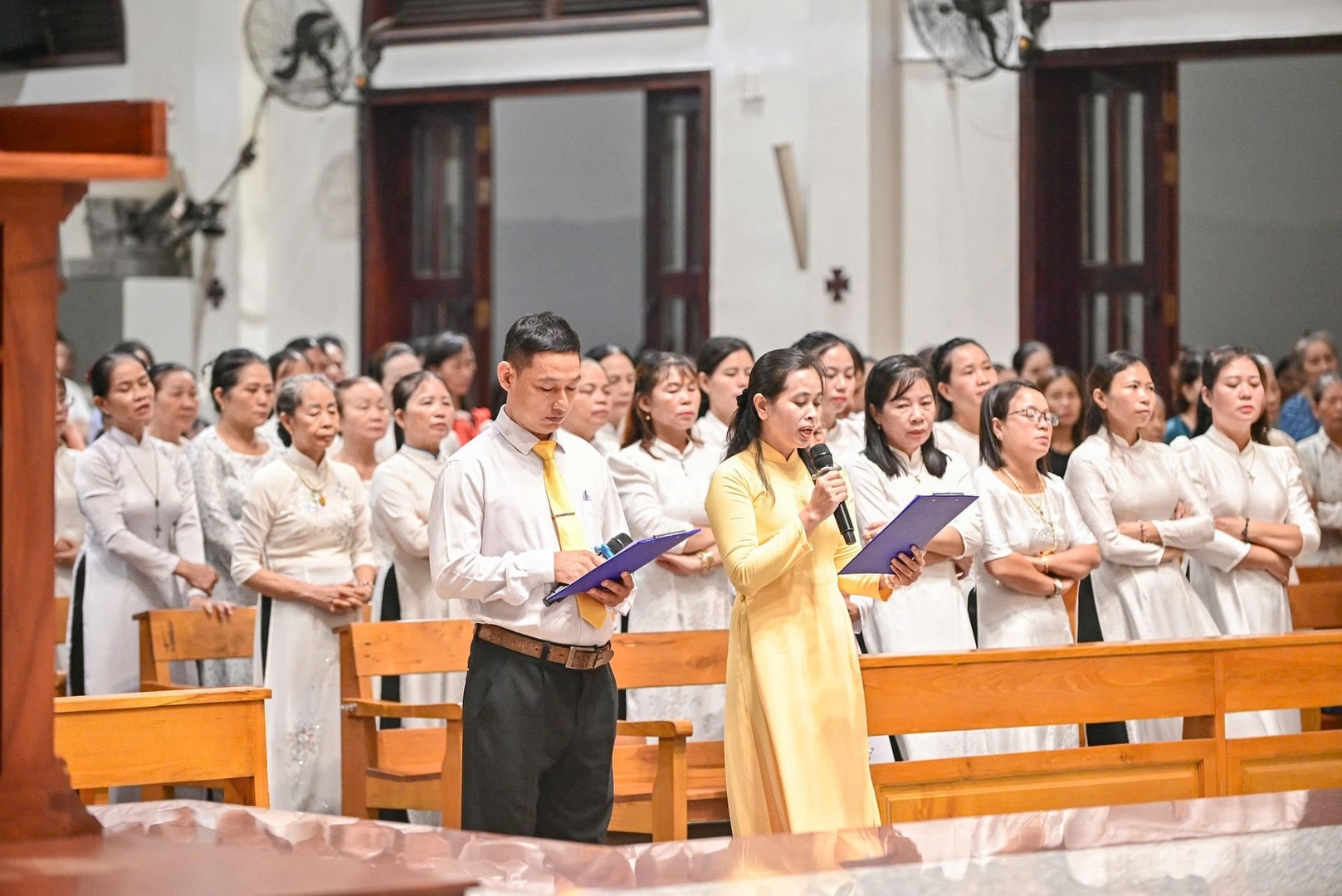 Photo-3
