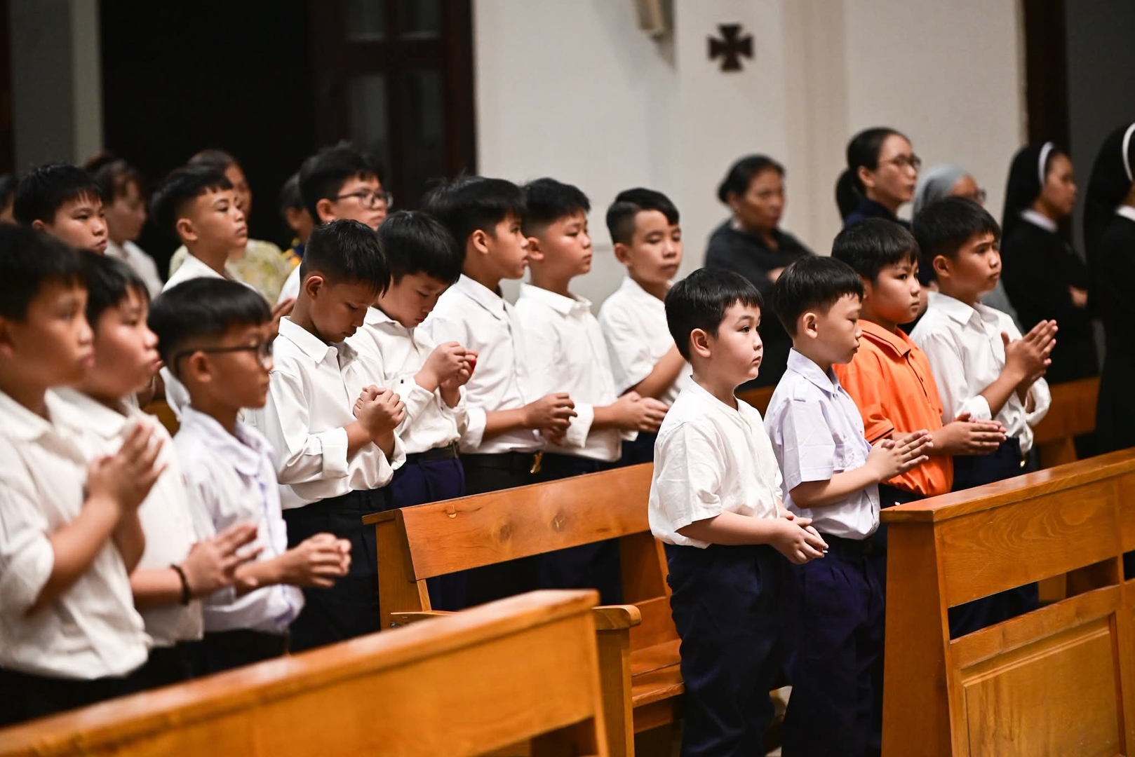 Photo-7